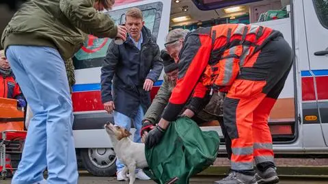 "Na Wspólnej", odcinek 4011