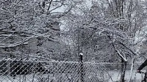 241125_Raport_turbo_odc_4612_Sub_02,00