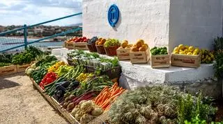 MasterChef 13, odcinek 11