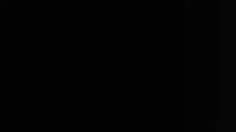 targi