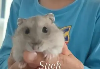 Anita ze "ŚOPW" przekazała radosną wiadomość. "Poznajcie nowego członka rodziny"