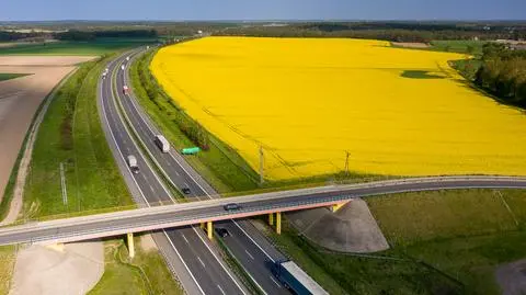 Drogowe rekordy Polski.