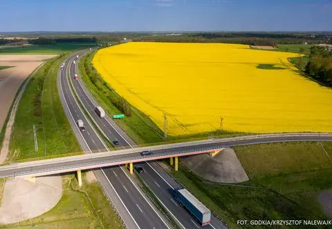 Drogowe rekordy Polski. Najdłuższe trasy, najwyżej położone odcinki i most-gigant
