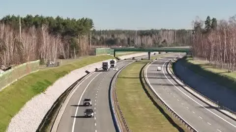 odcinkowy