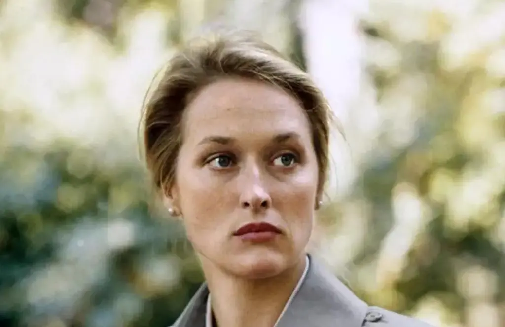 Meryl Streep – Joanna Kramer