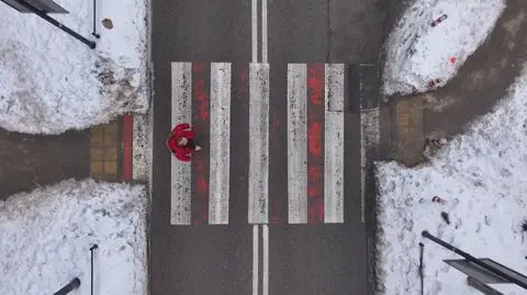Co robią piesi na zebrach? 