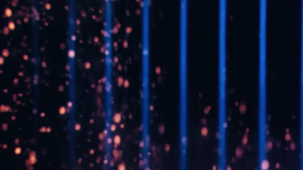 240409_DMO_odc_6_www_tc09