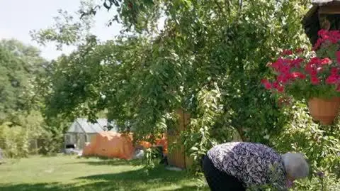 241004 ZONY PODLASIA_06_Sub_02