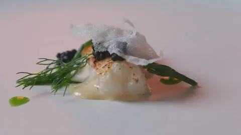 Debora Warchoł: Langustynka  