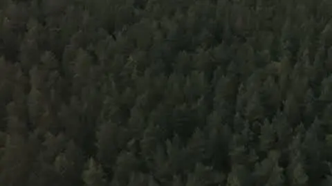 428DETEKTYWI_ODC_126_2
