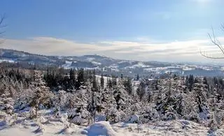 Widok z drogi na Stecówkę