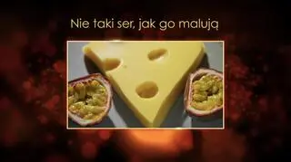 "Ugotowani 14" - Nie taki ser, jak go malują, czyli sernik na zimno z mango Michała z Radomia 