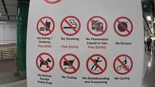 Singapur - miasto zakazów i zaskakujących reguł