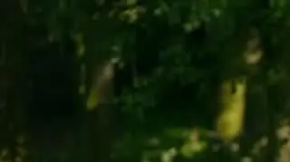 Top Model. Oksana jako samotna żona na sesji