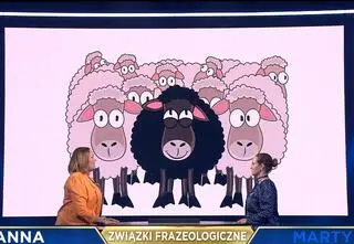 "The Floor". Związki frazeologiczne w grze — czy Ty poradziłbyś sobie lepiej? [PRZED EMISJĄ W TV]