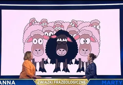 "The Floor". Związki frazeologiczne w grze — czy Ty poradziłbyś sobie lepiej? [PRZED EMISJĄ W TV]