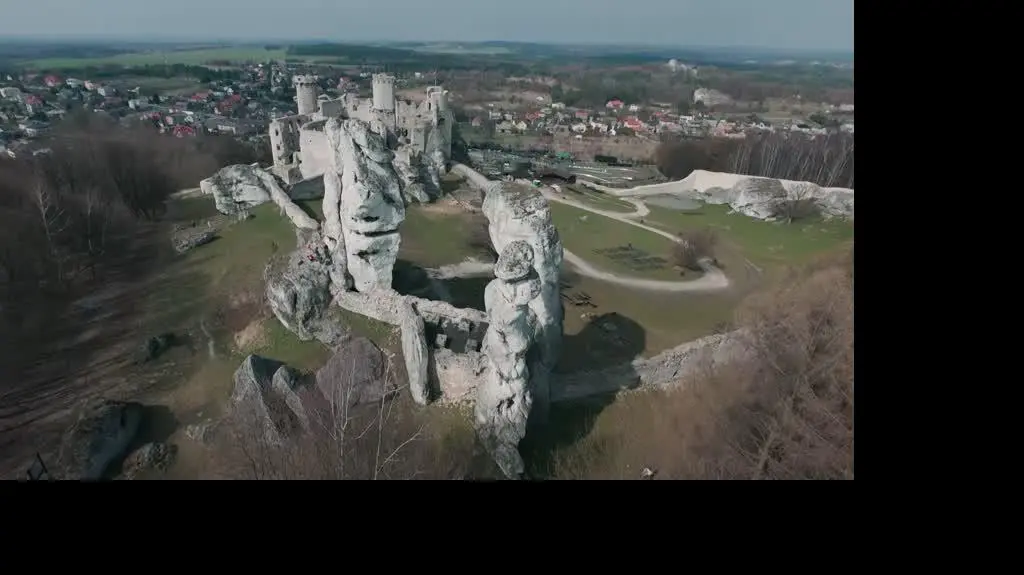 "Ślub od pierwszego wejrzenia 11"