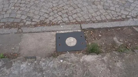 Parkomat w Łodzi przez lata zbierał nielegalnie opłaty za parkowanie.