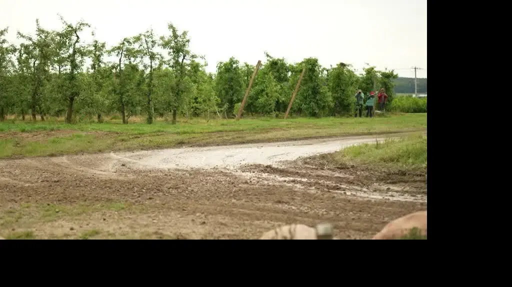 rajd