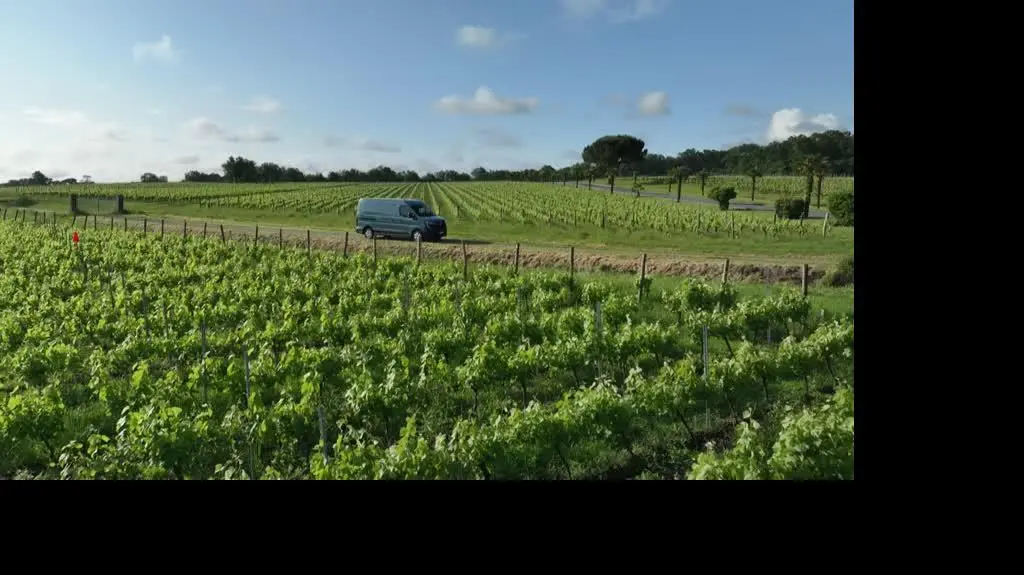 Renault Master E-TECH - dostawczak na prąd