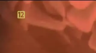 Nie idziemy na Sylwestra: Alicja Majewska