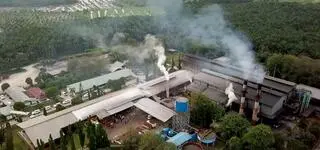 Biopaliwa, e-paliwa i zakaz spalinówek. Czy syntetyczny diesel za 30 zł ma w ogóle sens?