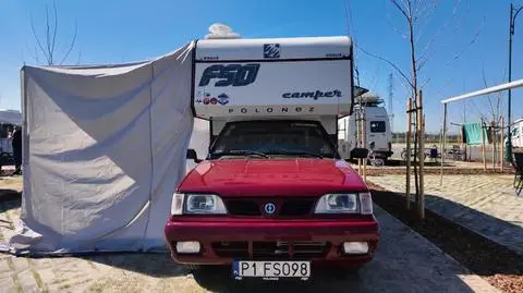 Kamper z Poloneza Trucka podbija zloty. „Jakby mnie posłuchał, nie byłoby takiego cuda”
