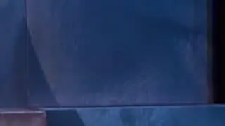 Kuba Wojewódzki: Aleksandra Adamska o swojej roli w "Skazanej"