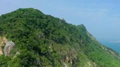 Hotel Paradise 9