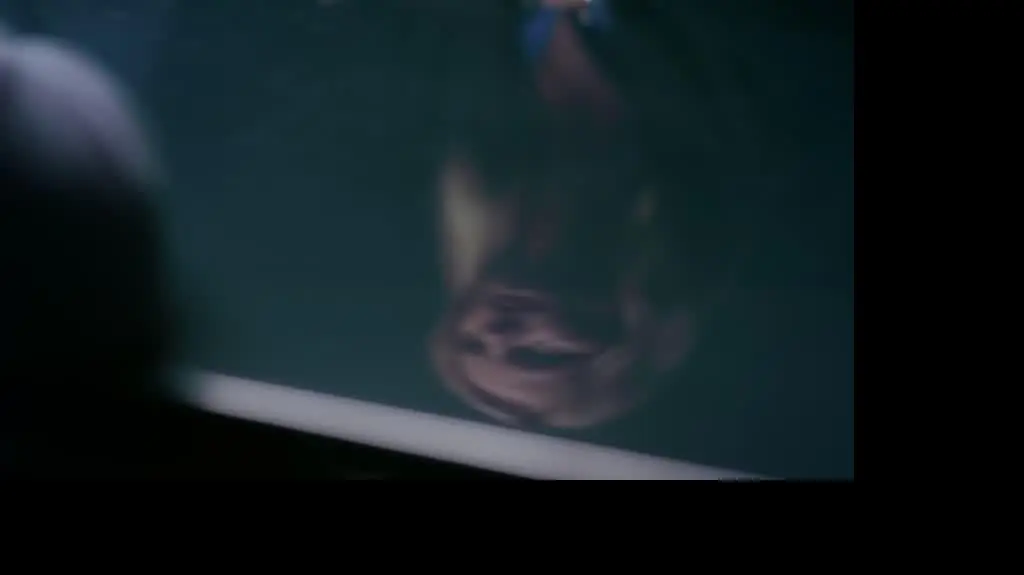 Chyłka: Chyłka i McVay chcą poznać prawdę o Langerze! [s02e05]