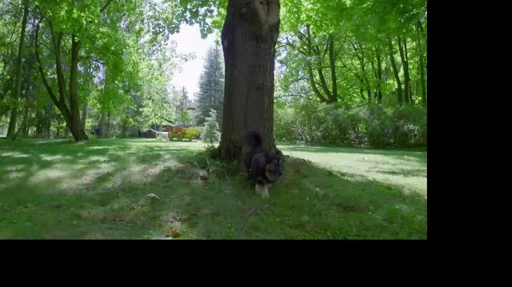 221021_perfect_picture_odc3_tc1_www