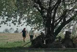 Katarzyna Zawidzka, Maciej Walkowiak, "Ślub od pierwszego wejrzenia 11"