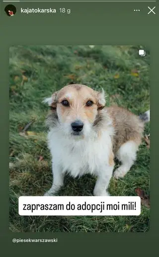 Kaja Tokarska ze "ŚOPW" nagle poruszyła temat adopcji! Internauci nie kryją zachwytu