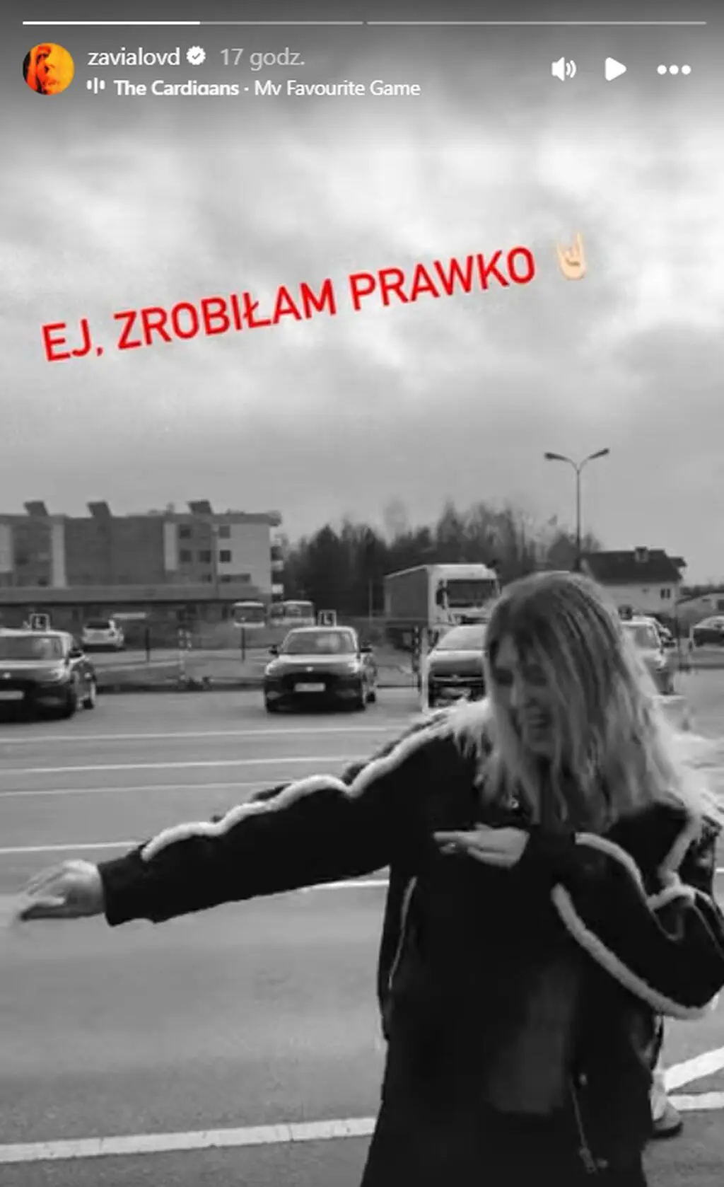 Daria Zawiałow 