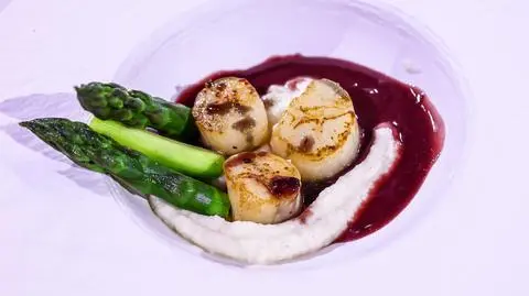 Sylwia Skłodowska: Małże św. Jakuba