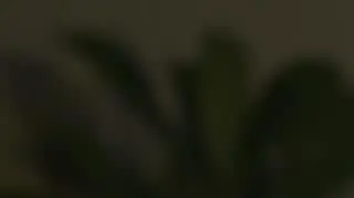 Kuchenne rewolucje 30: Czy Magda Gessler ma racje?