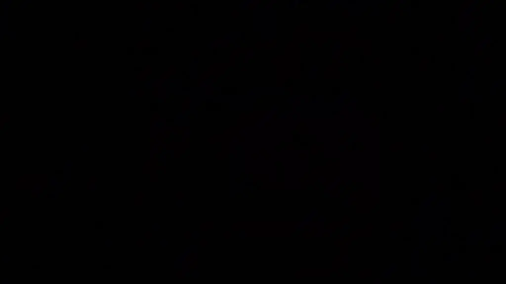 240705_Belfer_odc_3_Sub_02,00