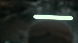 Behawiorysta PRZED EMISJĄ W TV: Dla kogo ten dylemat?