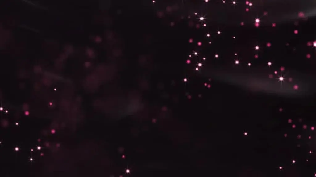 TL_EXTRASY_ODC_02_B_WWW