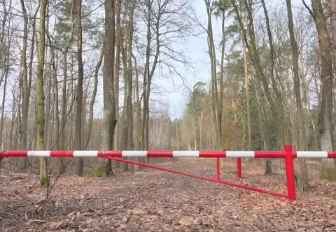 Nie wjeżdżaj samochodem do lasu. Za złamanie zakazu grozi mandat