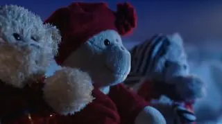 Akcja "Podaruj Misia" świętuje 20-lecie. Z tej okazji pluszaki tym razem są inne niż zawsze