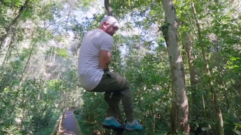 Leśne ścieżki w drodze do jaskini 