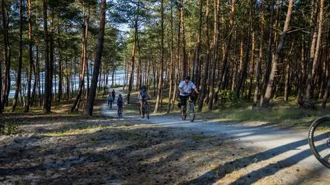 Krynica Morska