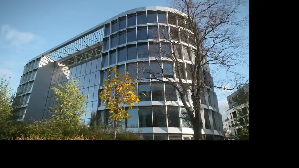nogi