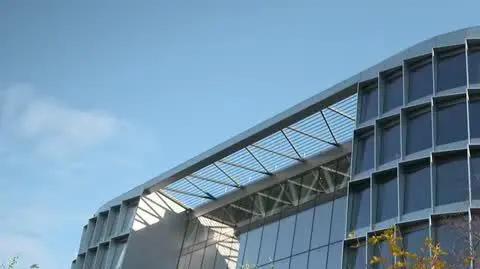 nogi