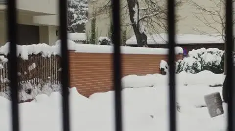Papiery na szczęście: "Jedyny pasożyt w rodzinie to ten beznadziejny Staszek"!