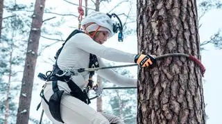 Pokonaj mnie, jeśli potrafisz: Wyścig po drzewach na czas