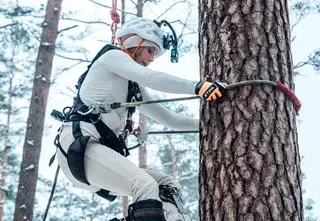 Wspinaczka po drzewie na czas. Kto był szybszy w Pokonaj mnie, jeśli potrafisz?