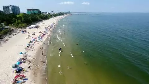 Dzień Dobry Wakacje na antenie TVN!