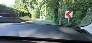 Choroba lokomocyjna. Samochody elektryczne wywołują ją częściej